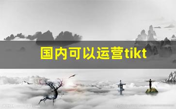 国内可以运营tiktok吗_tiktok 林